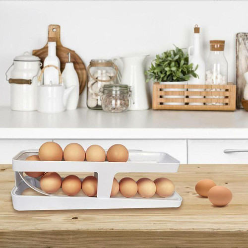 جا تخم مرغی ریلی