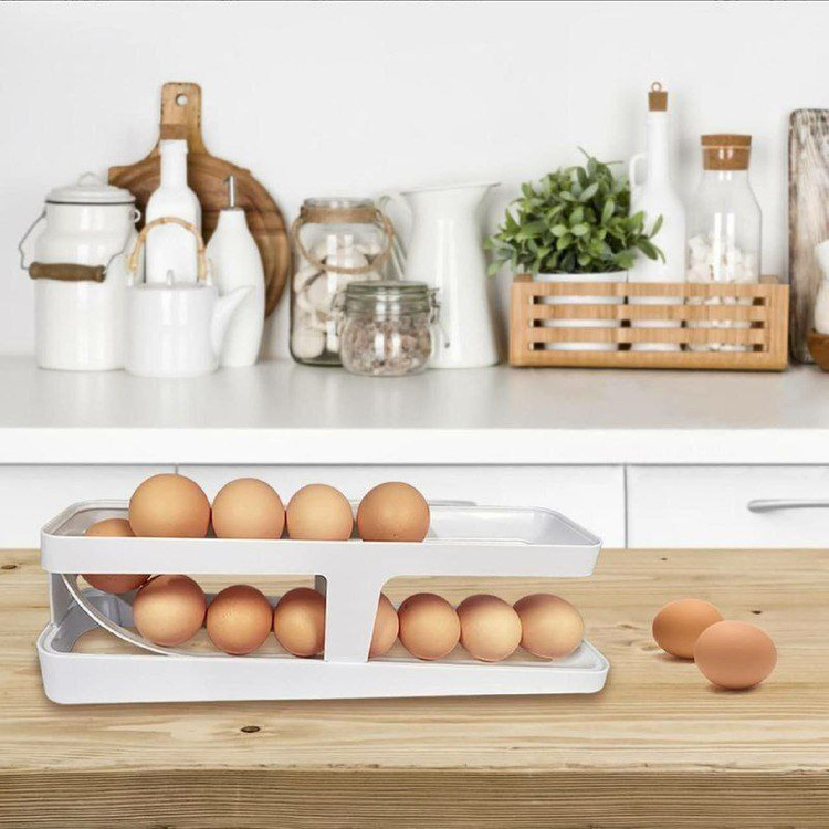 جا تخم مرغی ریلی