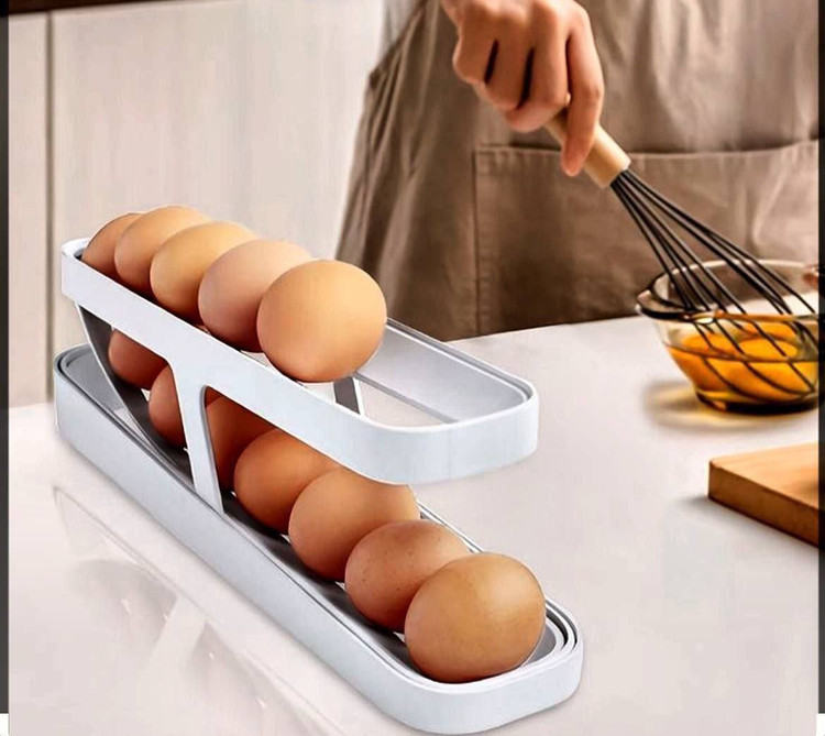 جا تخم مرغی ریلی