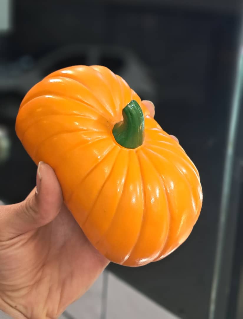 کره و پنیر خوری مدل کدو