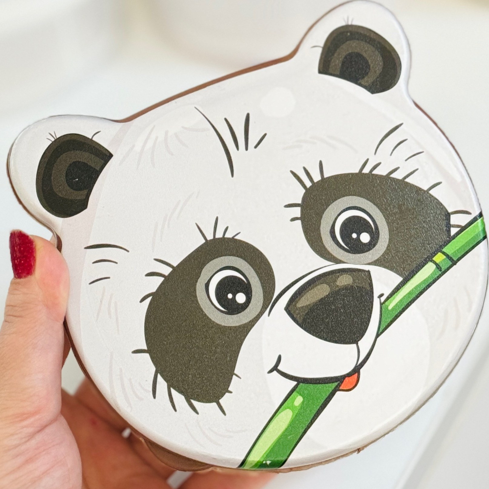 ظرف غذا پلاستیکی ۴ عددی