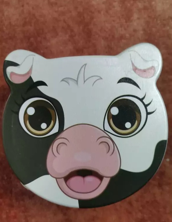 ظرف غذا پلاستیکی ۴ عددی