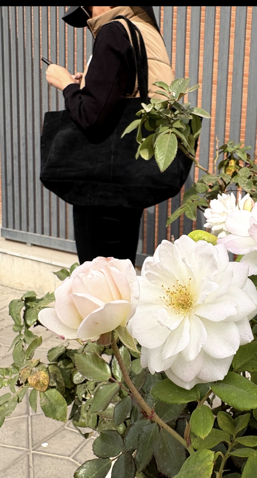 توت بگ چرمی خرید