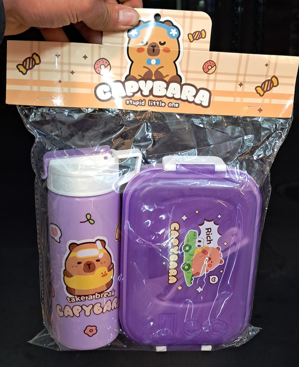 ظرف غذا و قمقمه کودک ست