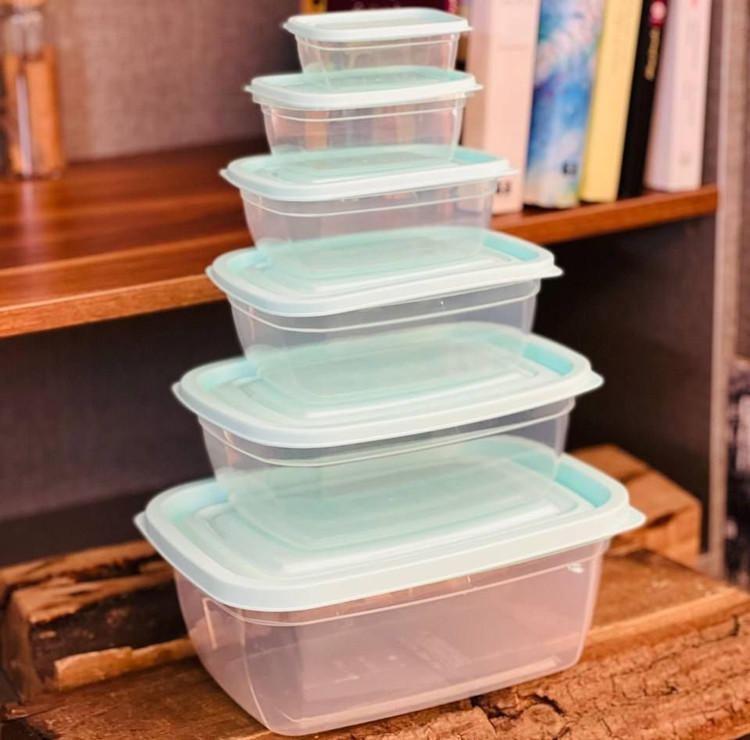 ظرف فریزری ۶ تیکه